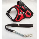 Peitoral Reforçado em Couro para Raças Fortes – Segurança, Durabilidade e Conforto