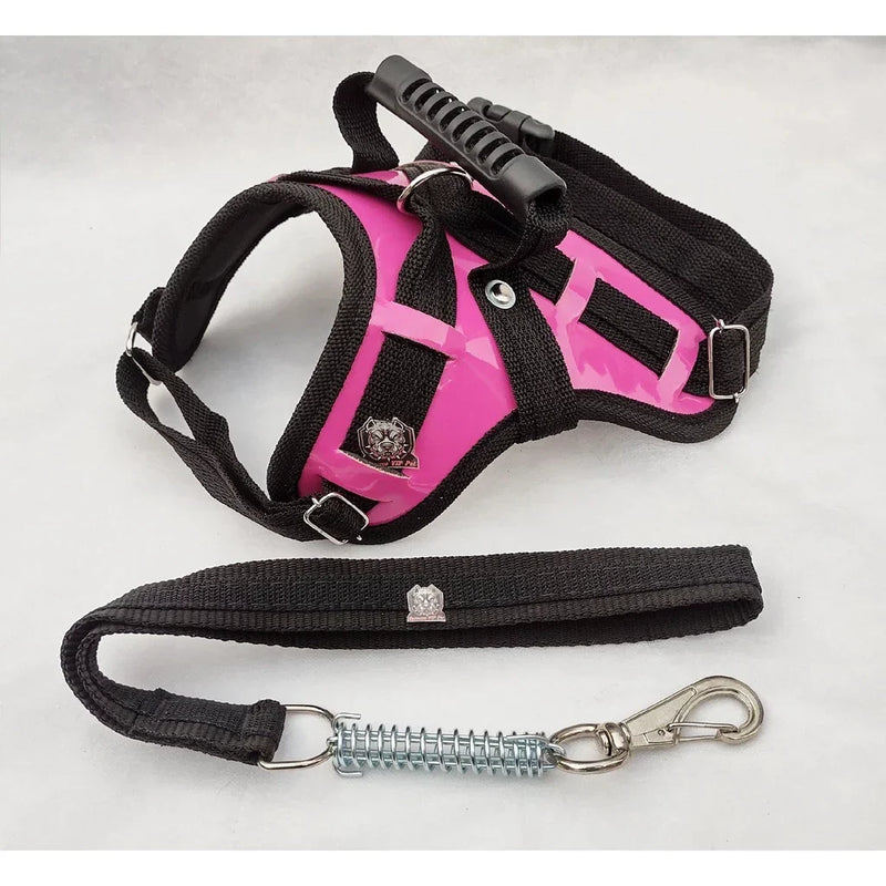 Peitoral Reforçado em Couro para Raças Fortes – Segurança, Durabilidade e Conforto